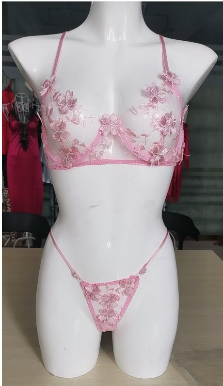 New Sexy Transparent Embroidered Printed Underwear Sexy Suit Two-Piece Set - Bae Apparel